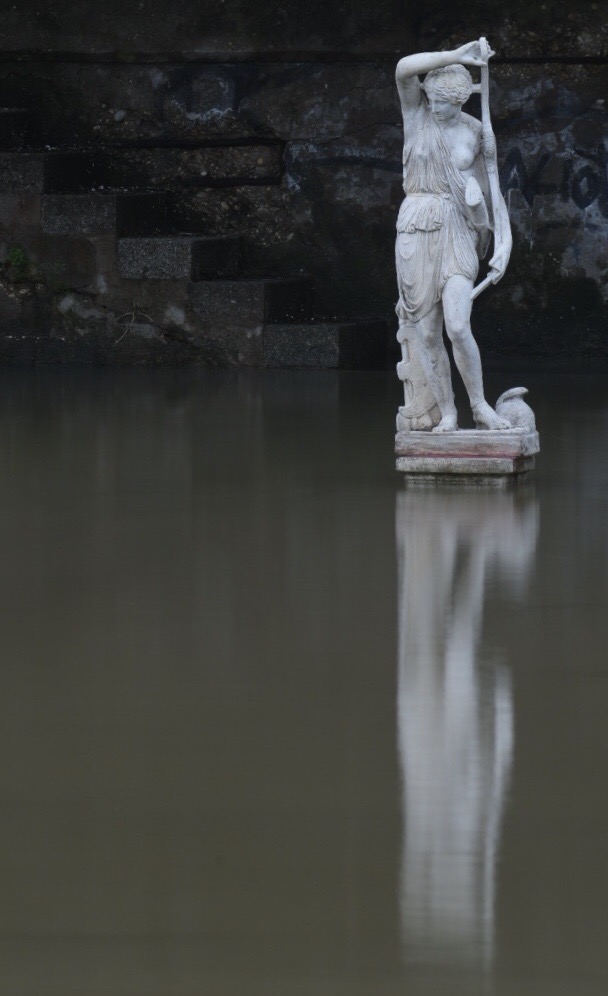 Ostia ha un nuovo simbolo: lamazzone Diana, la dea dei boschi